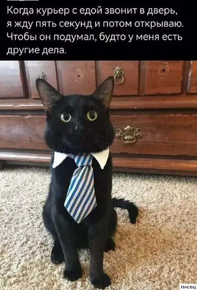 Когда жизнь подкидывает смешные моменты