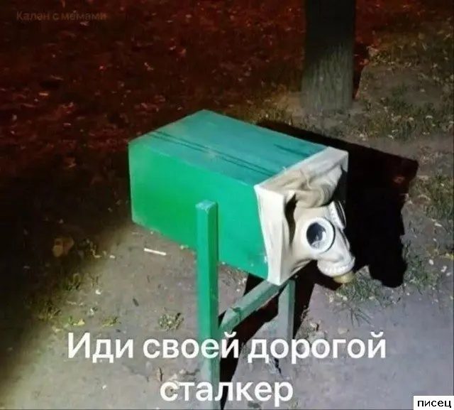 Забавные моменты, которые поднимут настроение