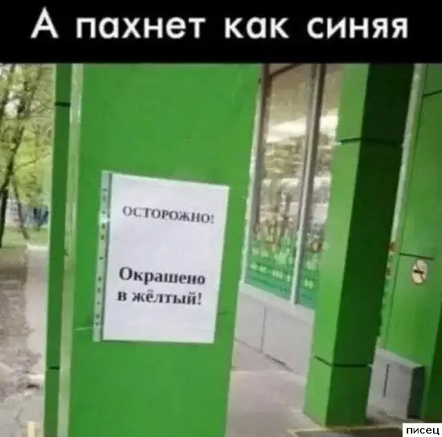 Забавные моменты, которые поднимут настроение