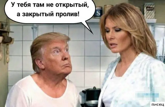 Забавные моменты, которые поднимут настроение