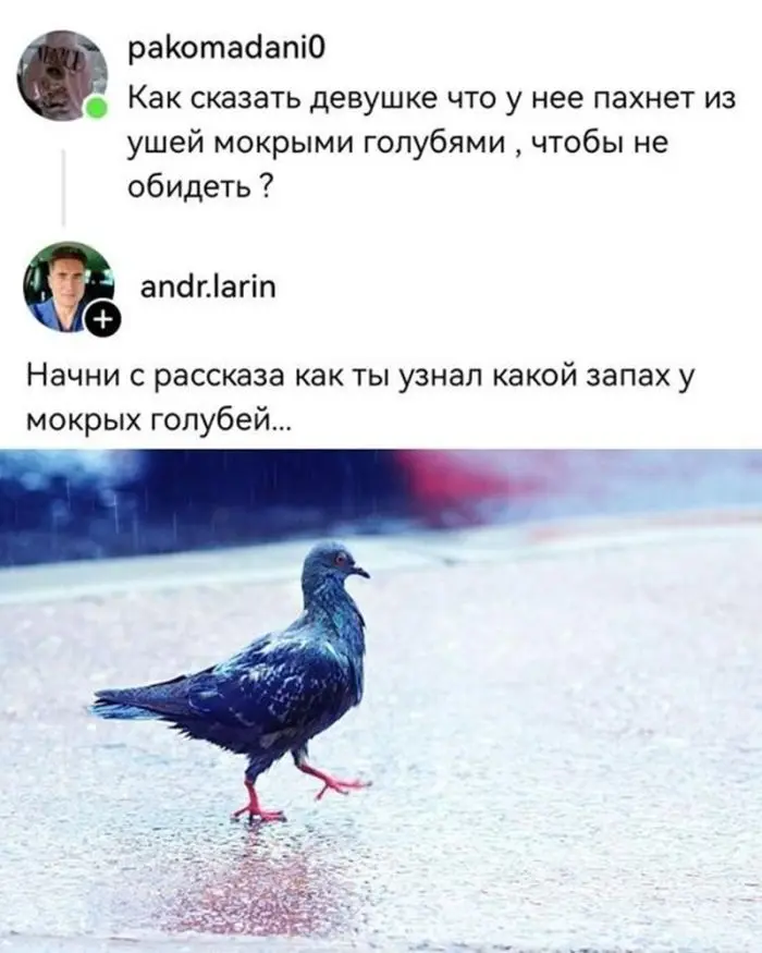 Горячо! Самые пошлые и смешные комментарии из глубин интернета