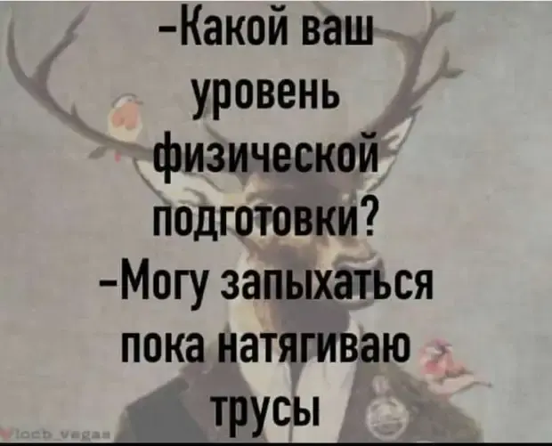 Забавные истории и приколы из повседневной жизни