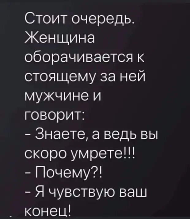 Забавные истории из жизни: от котов до свекровей