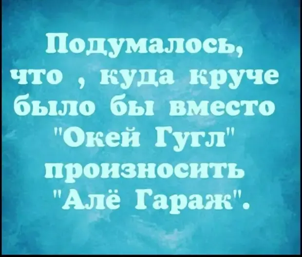 Забавные истории из жизни: от котов до свекровей
