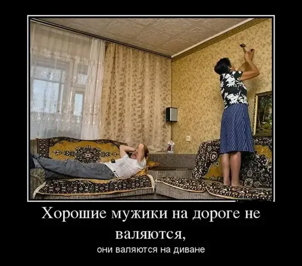 Забавные истории из жизни: от котов до свекровей