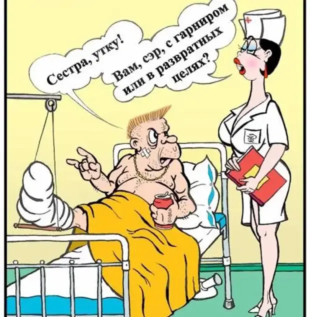 Забавные истории из жизни: от котов до свекровей