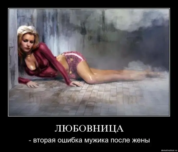 Забавные истории из жизни: от котов до свекровей