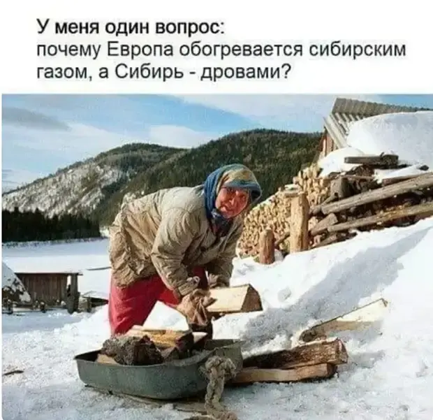 Забавные истории из жизни: от котов до свекровей