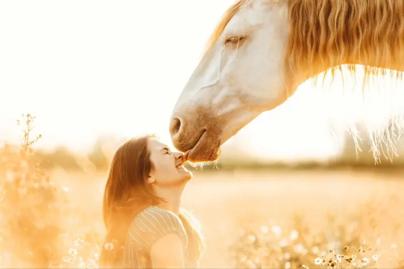 Победители в номинации «Самые смешные питомцы и их люди»