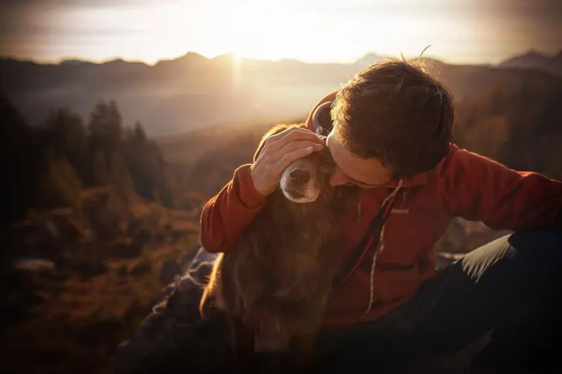 Победители в номинации «Самые смешные питомцы и их люди»