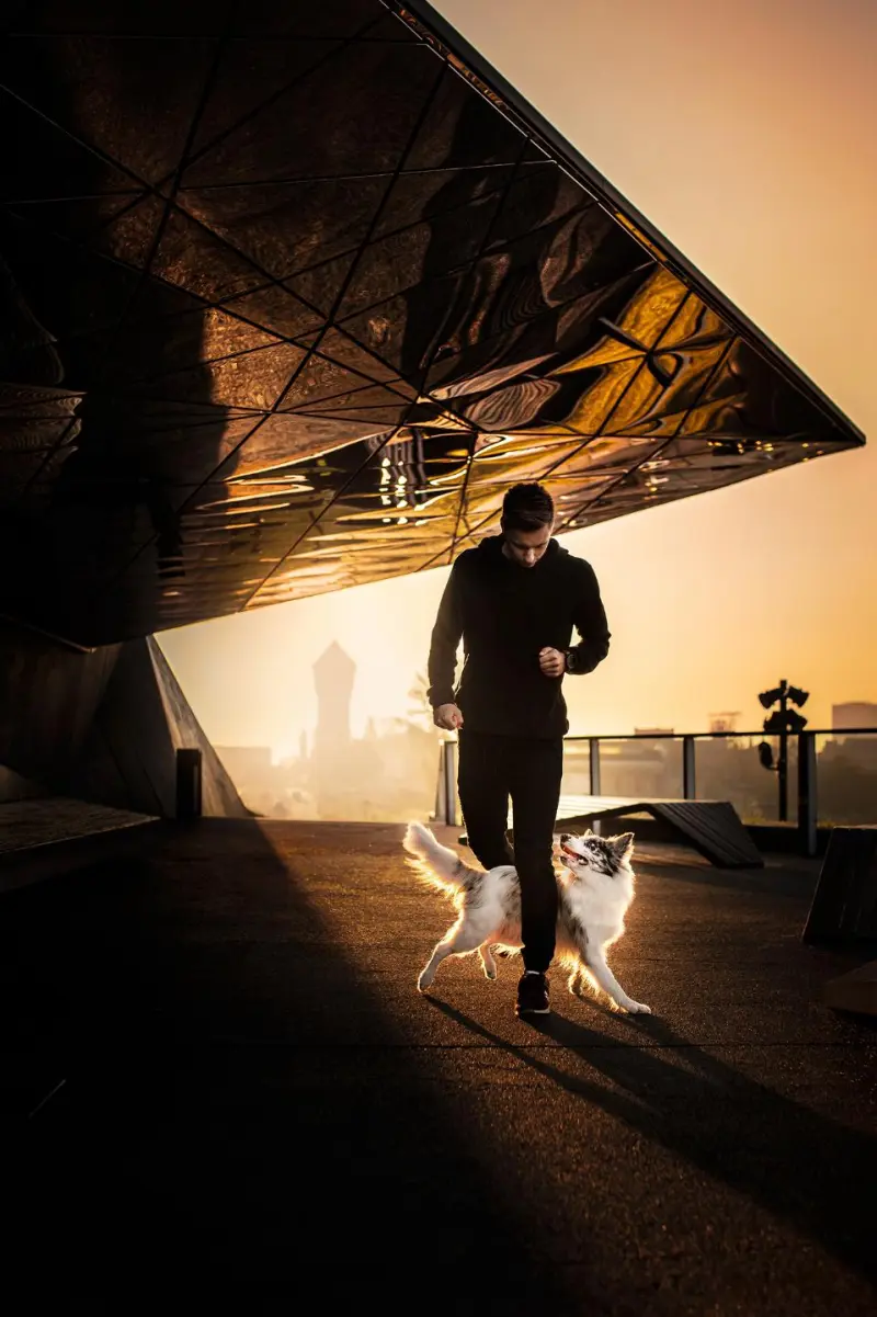 Победители в номинации «Самые смешные питомцы и их люди»