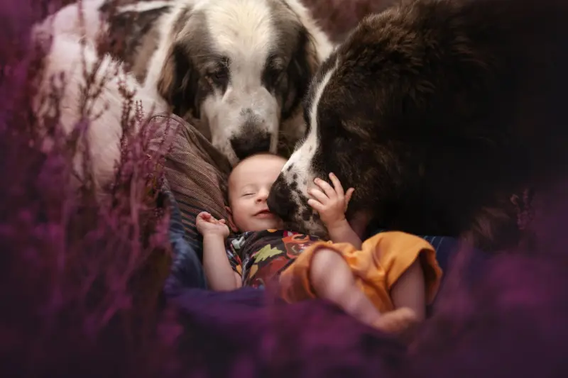 Победители в номинации «Самые смешные питомцы и их люди»