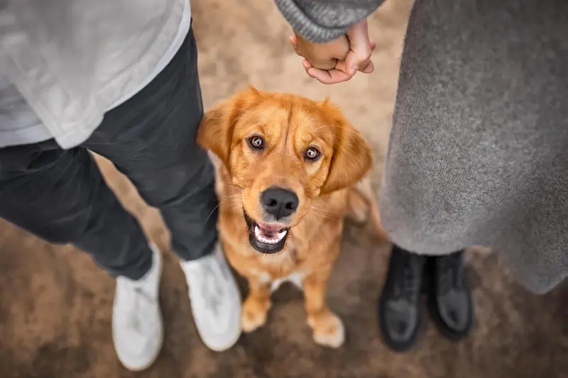 Победители в номинации «Самые смешные питомцы и их люди»