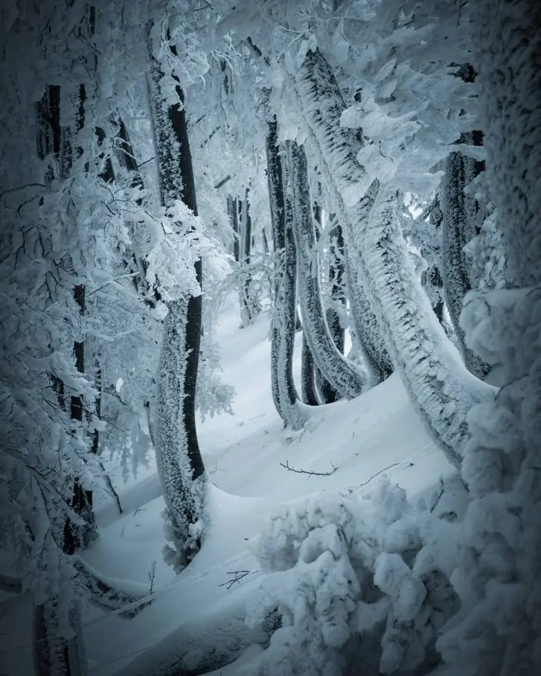 Волшебные виды Швейцарии от фотографа-авантюриста Синха Боксбергера