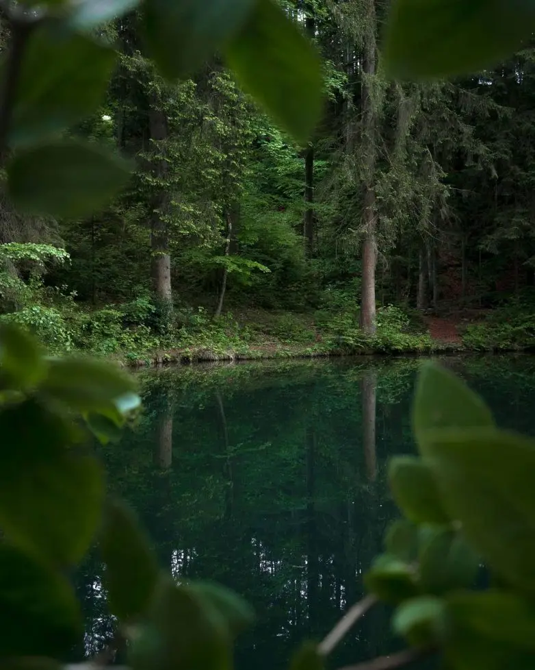Волшебные виды Швейцарии от фотографа-авантюриста Синха Боксбергера