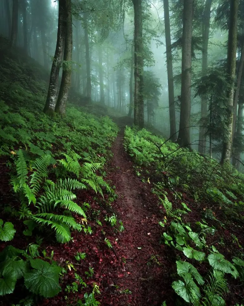 Волшебные виды Швейцарии от фотографа-авантюриста Синха Боксбергера