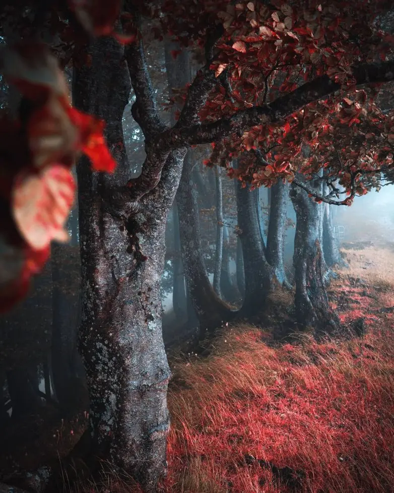 Волшебные виды Швейцарии от фотографа-авантюриста Синха Боксбергера