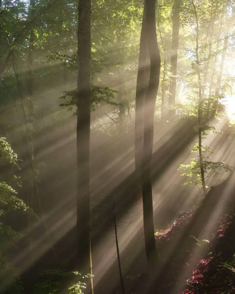 Волшебные виды Швейцарии от фотографа-авантюриста Синха Боксбергера
