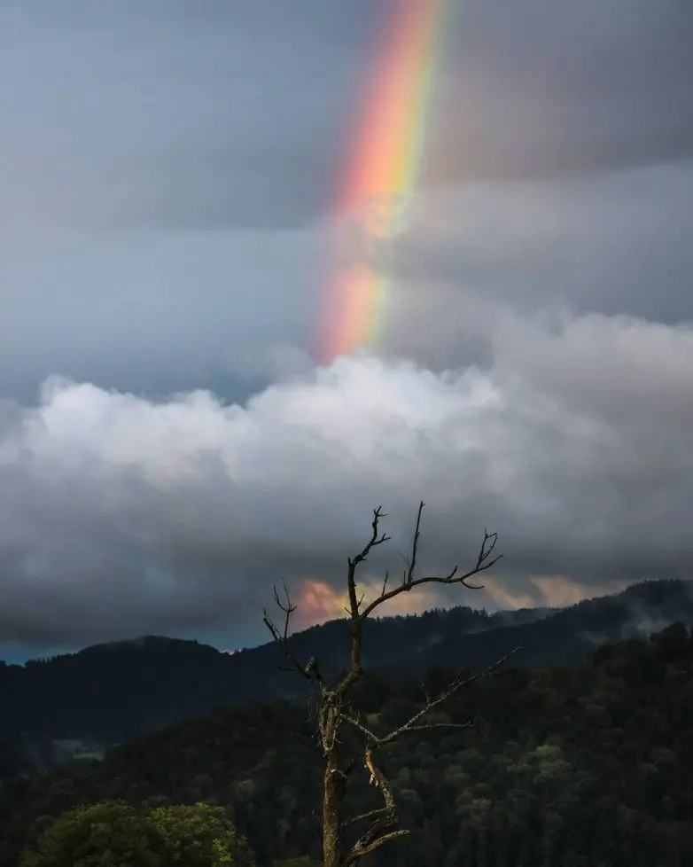 Волшебные виды Швейцарии от фотографа-авантюриста Синха Боксбергера