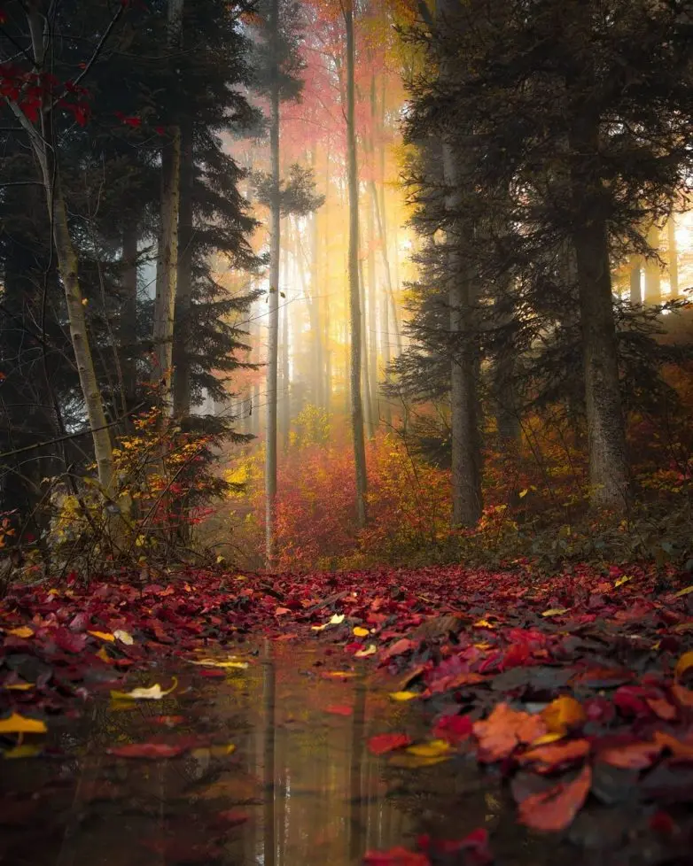 Волшебные виды Швейцарии от фотографа-авантюриста Синха Боксбергера