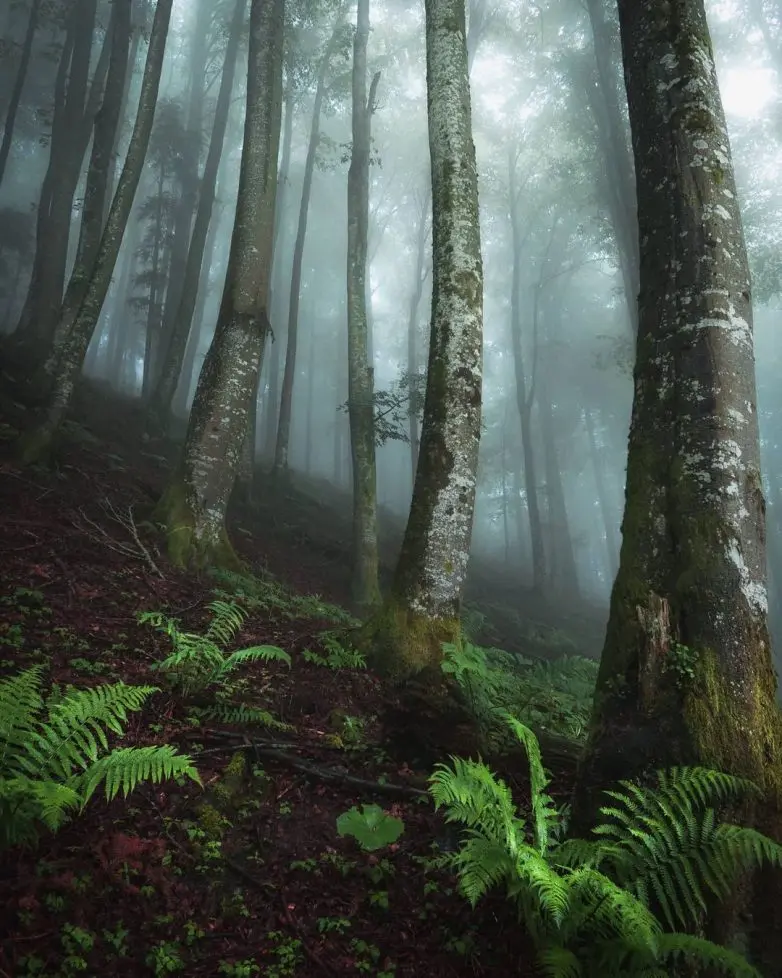 Волшебные виды Швейцарии от фотографа-авантюриста Синха Боксбергера