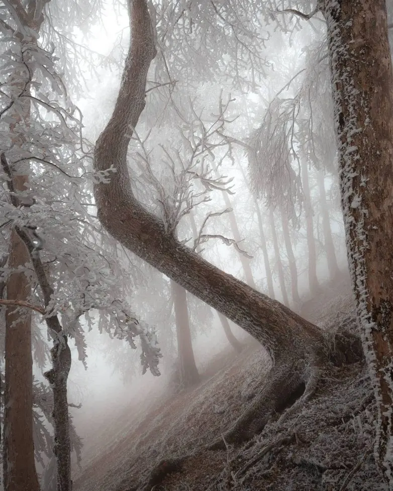 Волшебные виды Швейцарии от фотографа-авантюриста Синха Боксбергера