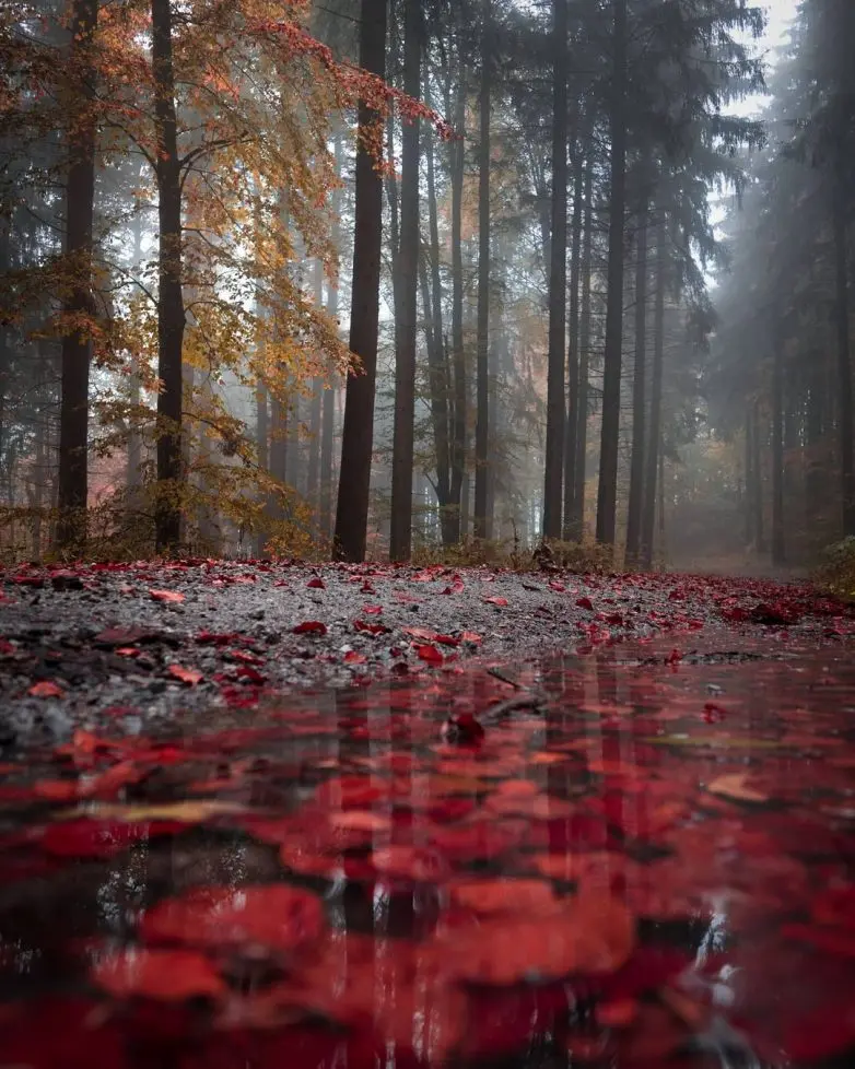 Волшебные виды Швейцарии от фотографа-авантюриста Синха Боксбергера