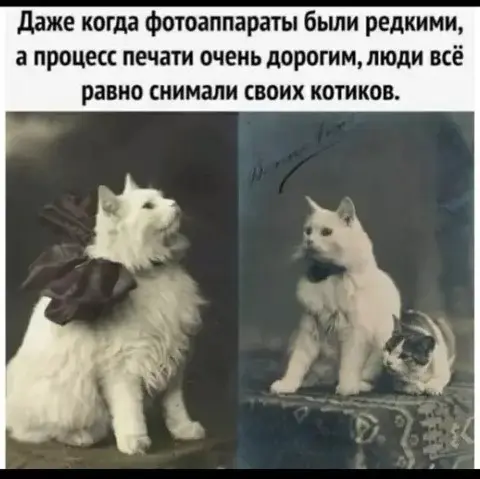 Убойная подборка мемов для отличного настроения