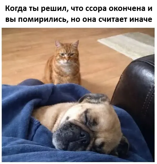 Убойная подборка мемов для отличного настроения