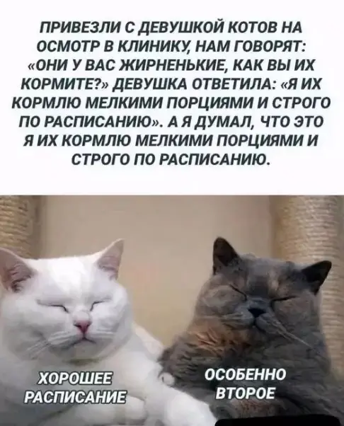 Убойная подборка мемов для отличного настроения