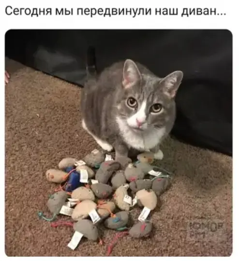 Убойная подборка мемов для отличного настроения