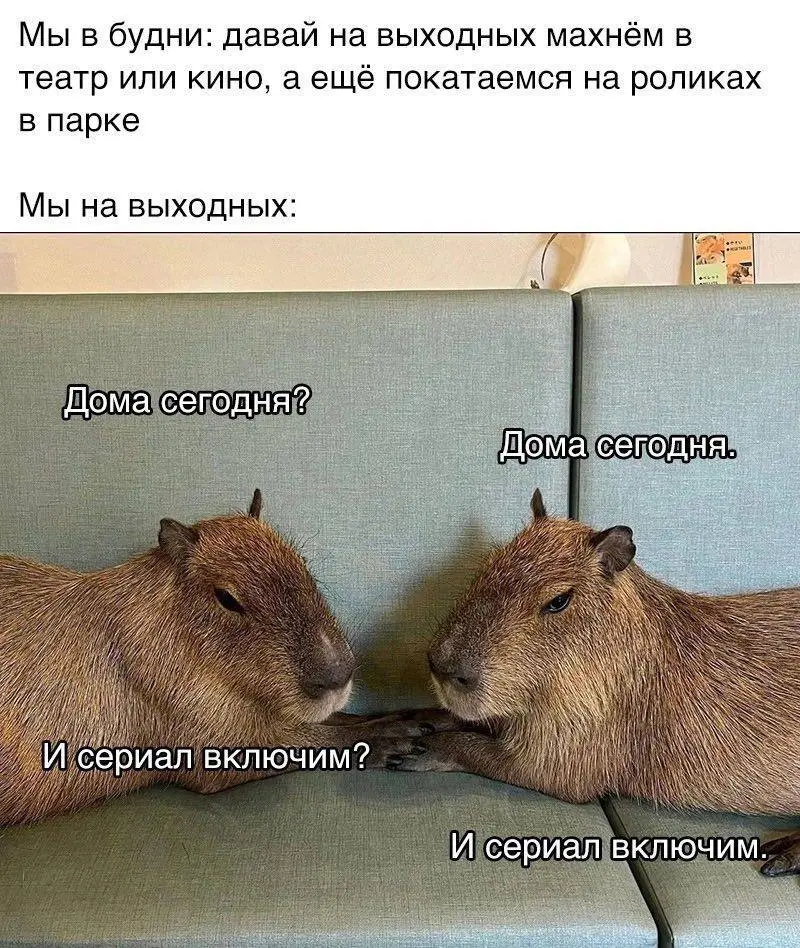 Убойная подборка мемов для отличного настроения