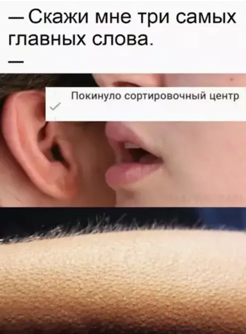 Убойная подборка мемов для отличного настроения