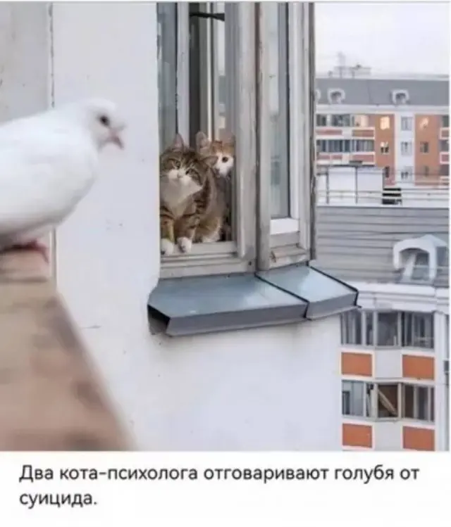 Убойная подборка мемов для отличного настроения