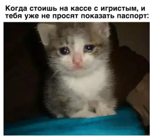 Убойная подборка мемов для отличного настроения