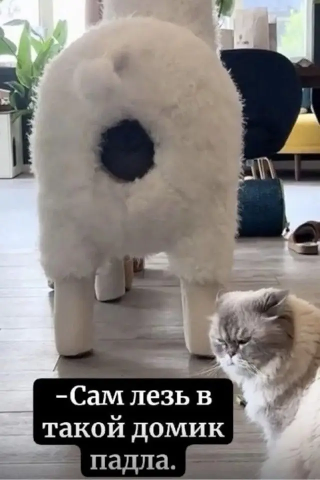 Убойная подборка мемов для отличного настроения