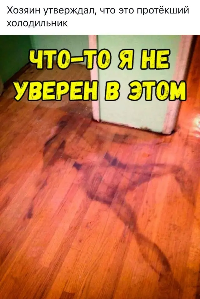 Убойная подборка мемов для отличного настроения