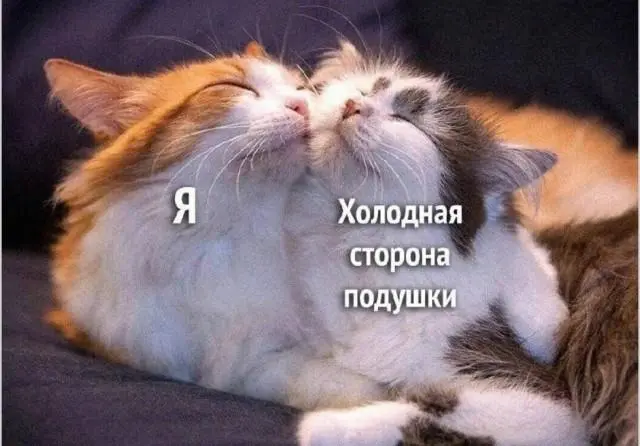 Доброе утро! Картинки для отличного настроения