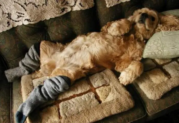 Доброе утро! Картинки для отличного настроения