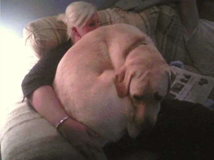 Доброе утро! Картинки для отличного настроения