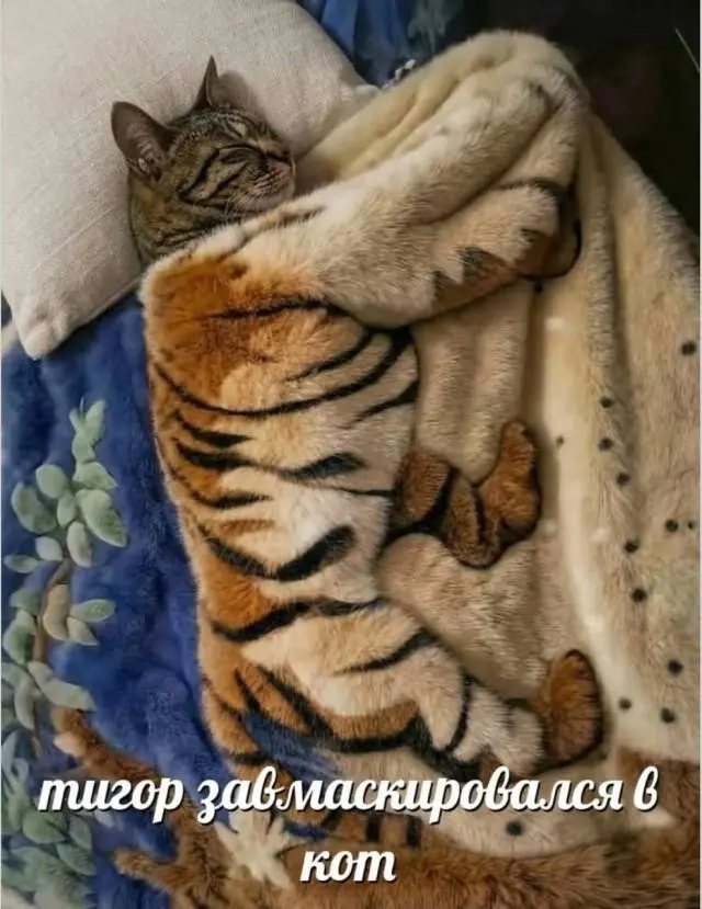 Доброе утро! Картинки для отличного настроения