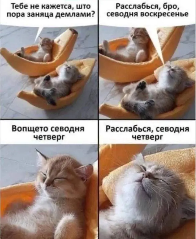 Доброе утро! Картинки для отличного настроения