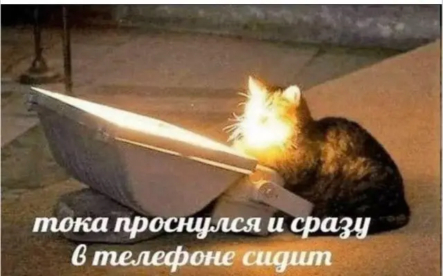 Доброе утро! Картинки для отличного настроения