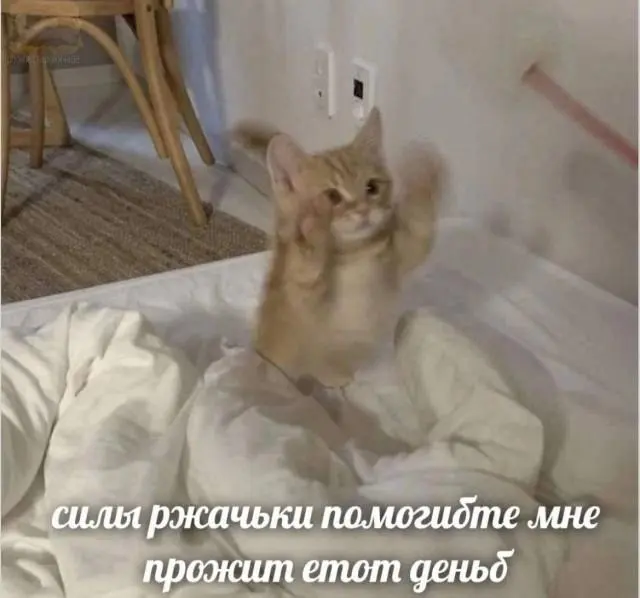 Доброе утро! Картинки для отличного настроения