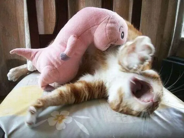 Доброе утро! Картинки для отличного настроения