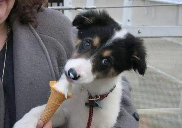 Доброе утро! Картинки для отличного настроения