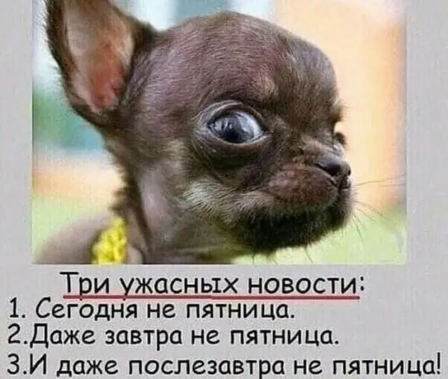 Доброе утро! Картинки для отличного настроения