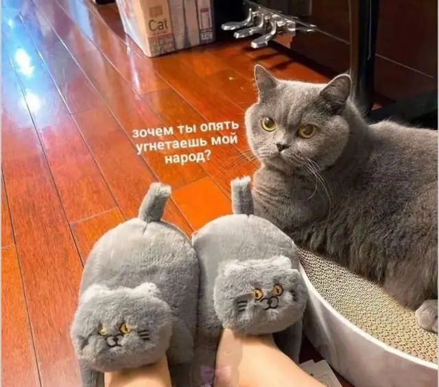 Доброе утро! Картинки для отличного настроения