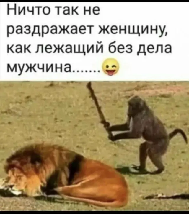 Смех до слёз: подборка лучших приколов