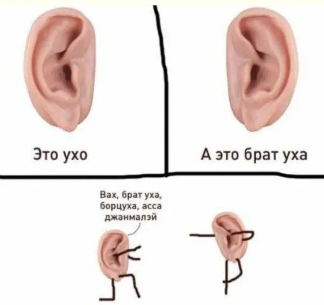 Смех до слёз: подборка лучших приколов